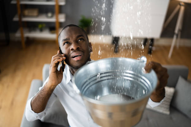 Best Water damage contractors near me  in Georgiana, AL
