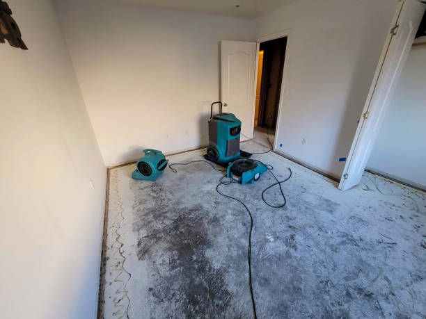 24/7 water damage repair in Georgiana, AL