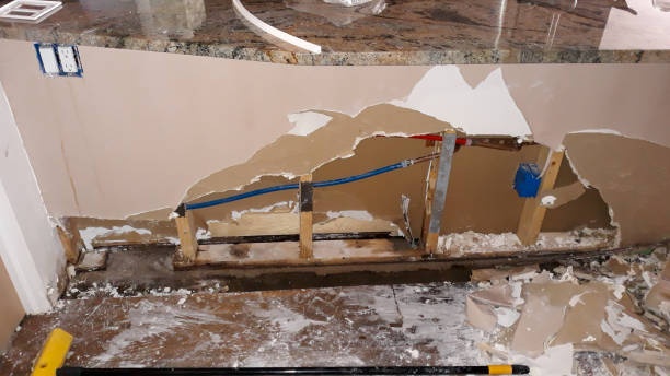 Best Local water damage restoration  in Georgiana, AL
