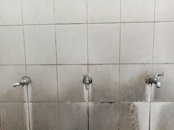 Best Ceiling water damage repair  in Georgiana, AL
