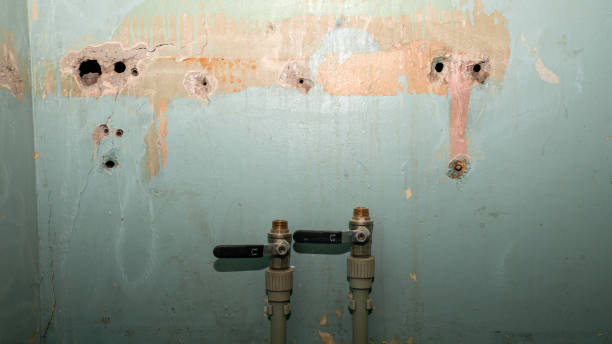  Georgiana, AL Water damage restoration Pros