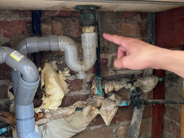Best 24/7 water damage repair  in Georgiana, AL