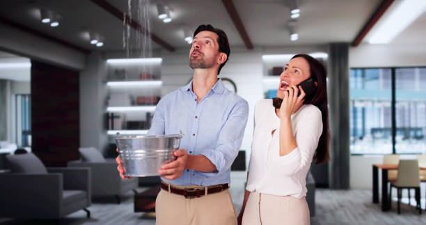 Best Fire Damage Restoration  in Georgiana, AL